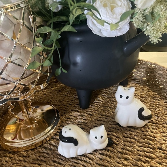Halloween 🎃 Ghost Cat’s 🐈‍⬛ salt and pepper shaker set - Picture 1 of 4